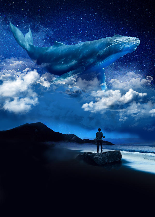 Night Whale Digital Art by David Loblaw