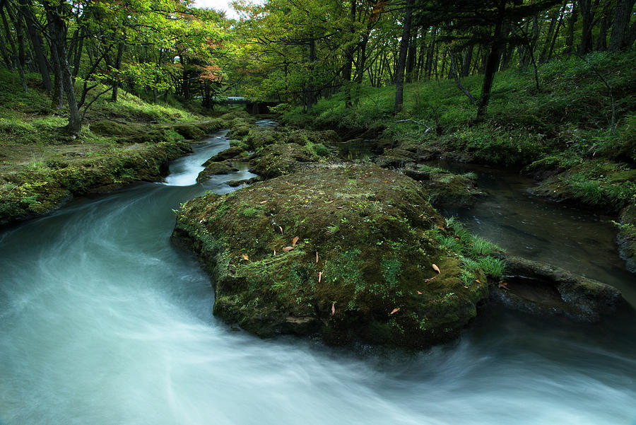 Water Photograph - Nikko 2 by Michael De Guzman