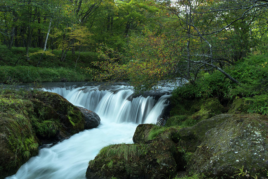 Waterfall Photograph - Nikko 3 by Michael De Guzman