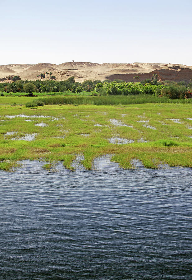 Nile River Bank Photograph by Terraxplorer