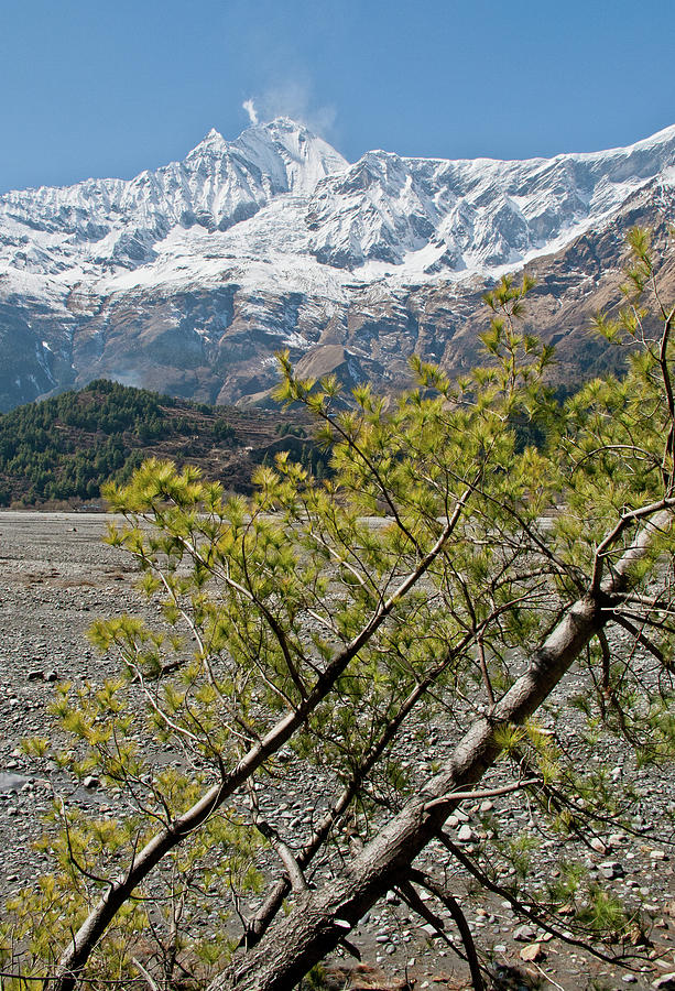 Nilgiri Himalayas Photograph by Leslie Struxness