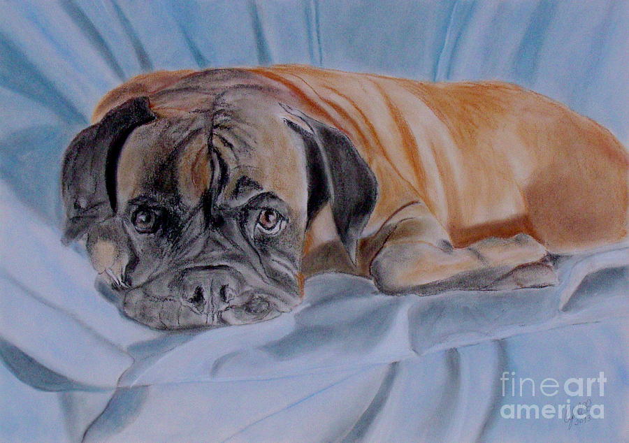 Nina the Boxer Painting by Cybele Chaves
