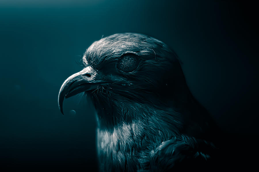 Raven Photograph - Nine At Night by David Gmez Meja