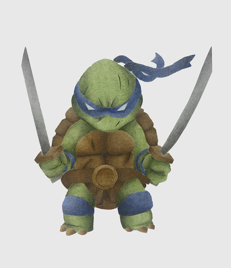 Ninja Turtles Leonardo