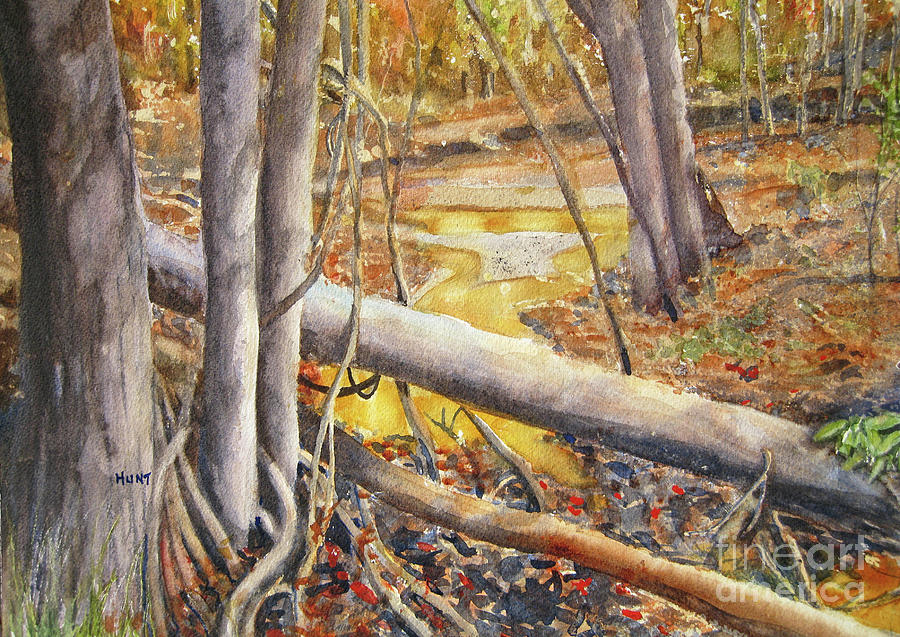 Nivens Creek Dam Painting by Shirley Braithwaite Hunt