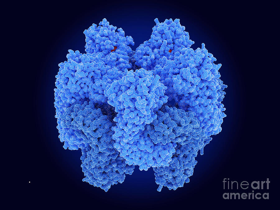Nlrp3 Inflammasome Photograph by Juan Gaertner/science Photo Library