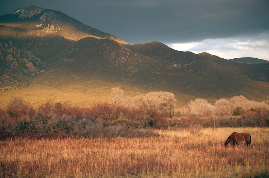 Nm, Taos, Sangre Christo Mountains Photograph by Walter Bibikow