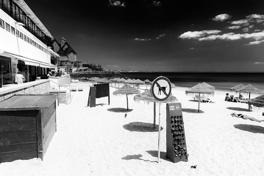No Dogs Allowed on Cascais Beach Portugal Photograph by John Rizzuto
