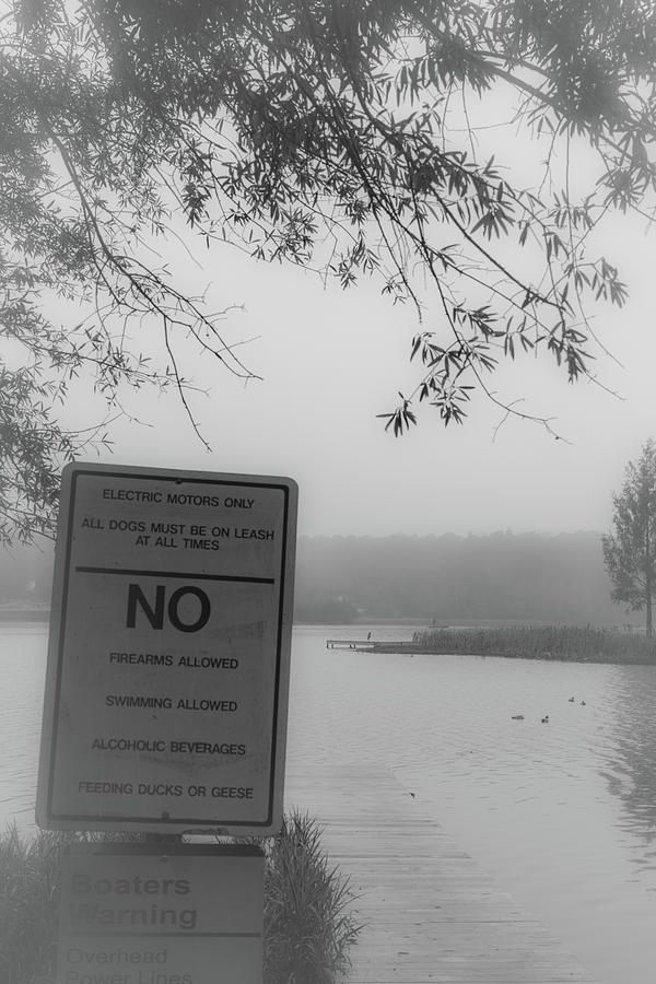 NO Feeding Ducks by James L Bartlett NO Feeding Ducks by James L Bartlett