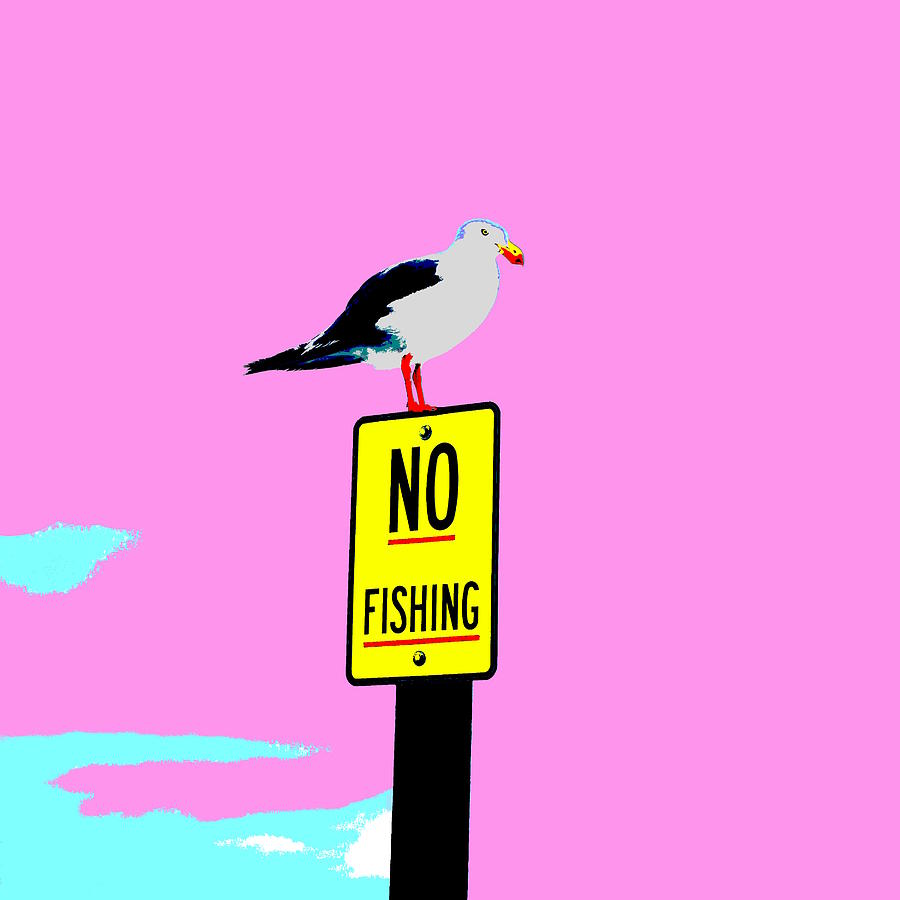 No Fishing - Pink Photograph by Lexa Harpell