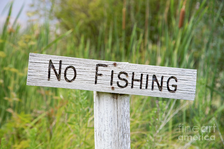 No Fishing Sign by Elizabeth Maher