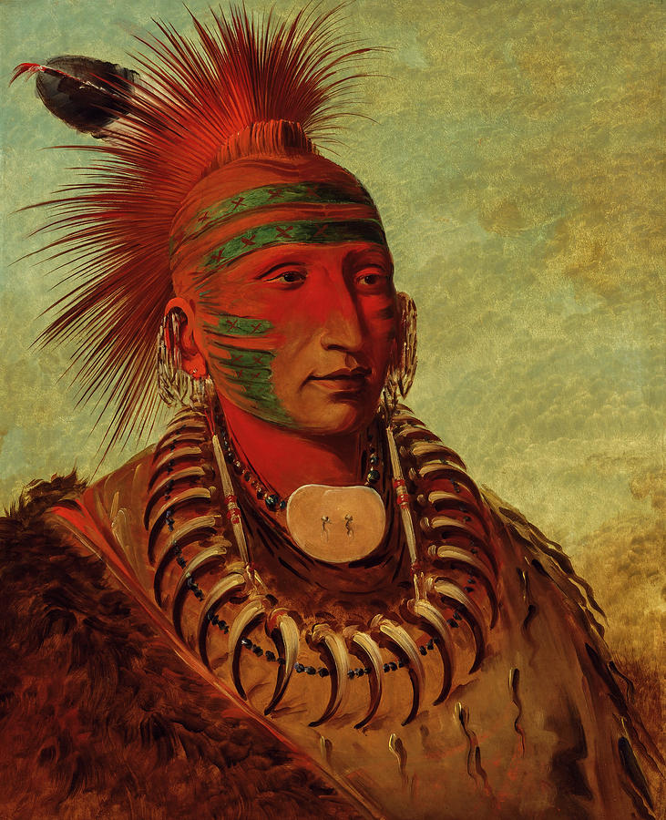 No-ho-mun-ya, One Who Gives No Attention Painting by George Catlin ...