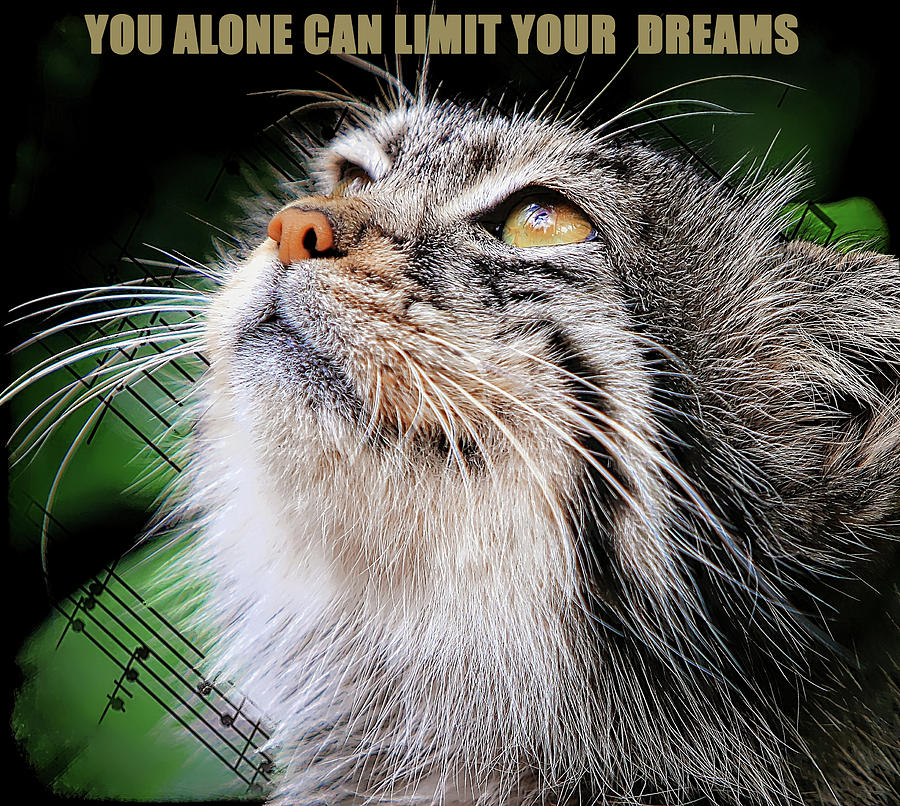 No Limit On Your Dreams Digital Art by Michelle Liebenberg