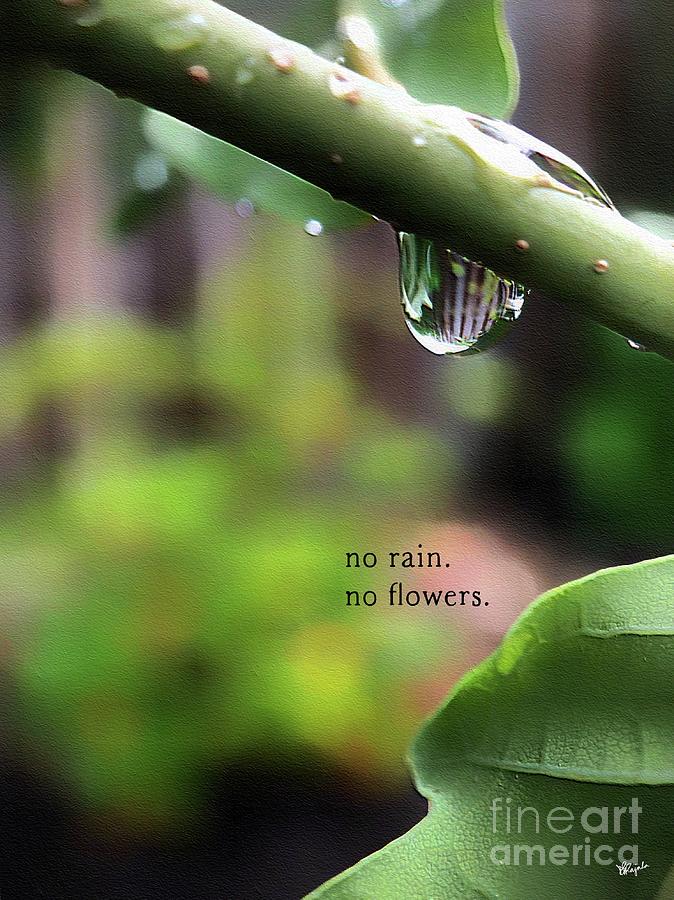 No Rain, No Flowers Photograph by Diana Rajala