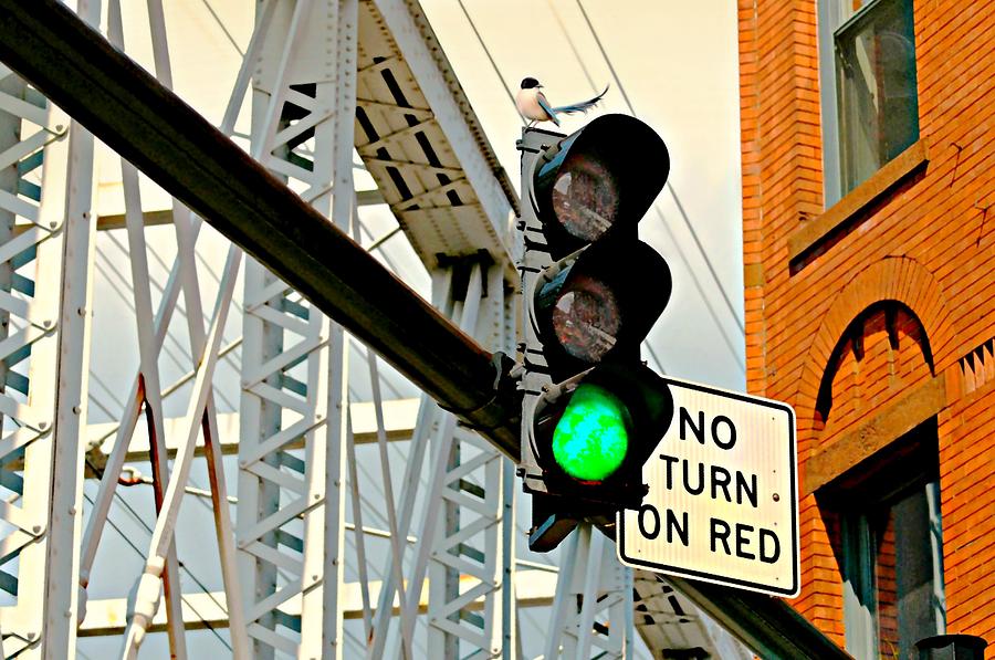 No Turn on Red Photograph by Diana Angstadt