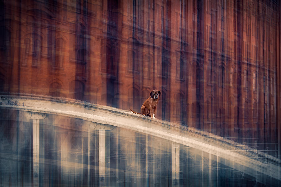 No Way Out (vol.ii) Photograph by Heike Willers - Fine Art America