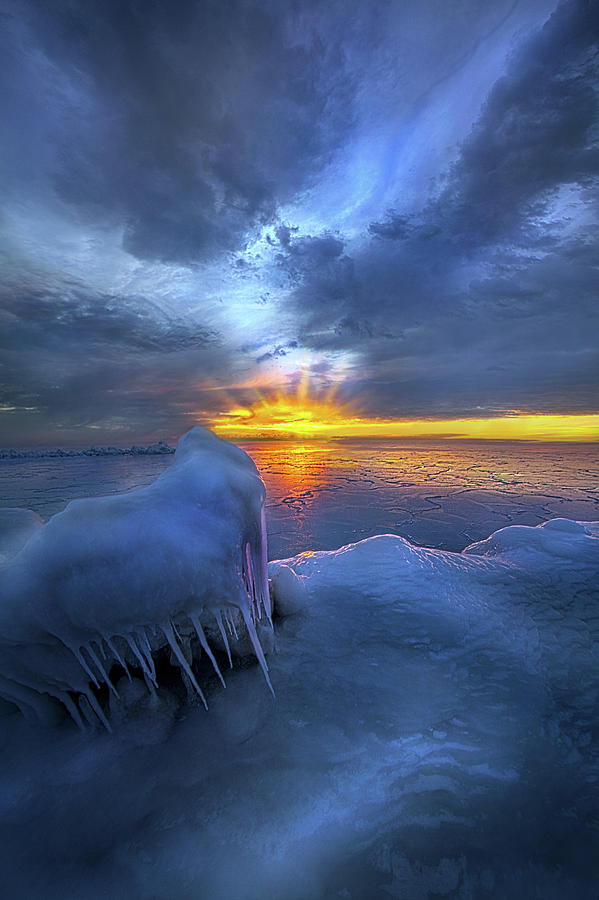 No Winter Skips Its Turn. Photograph by Phil Koch