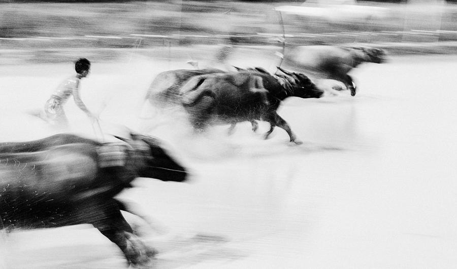 Buffalo Photograph - No.48 by Adirek M
