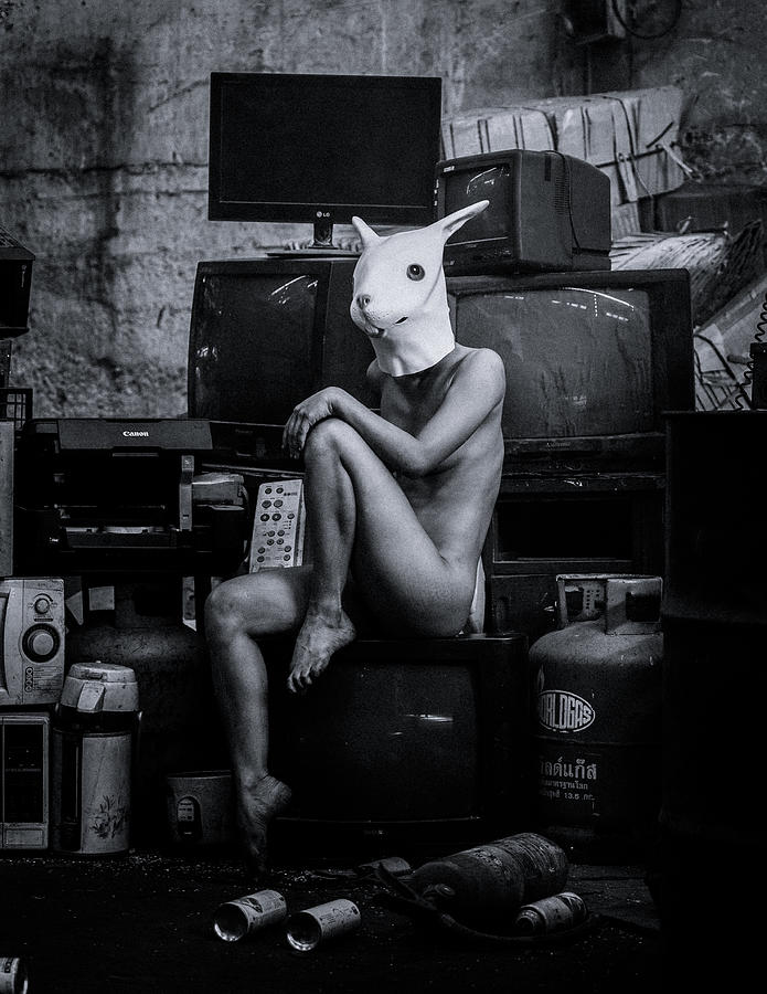 Rabbit Photograph - No.93 by Adirek M