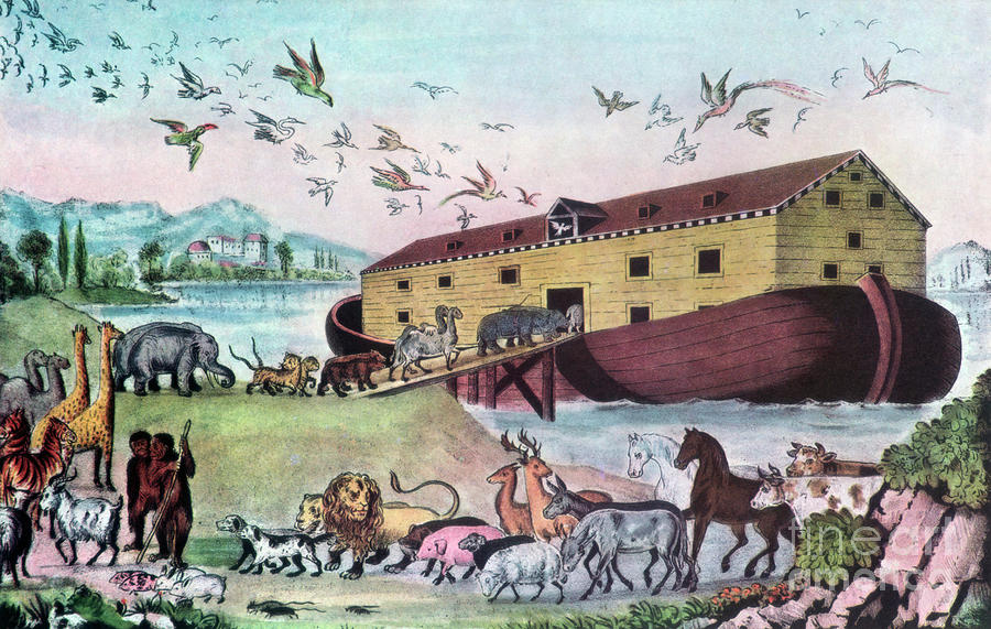 Noahs Ark, 19th Century.artist Drawing by Print Collector