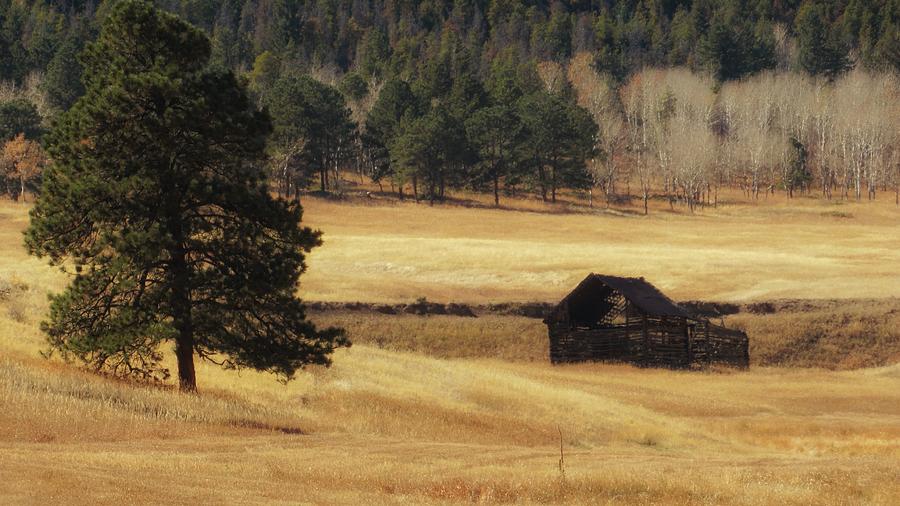 Noble Meadow Barn Photograph by Lukas Miller