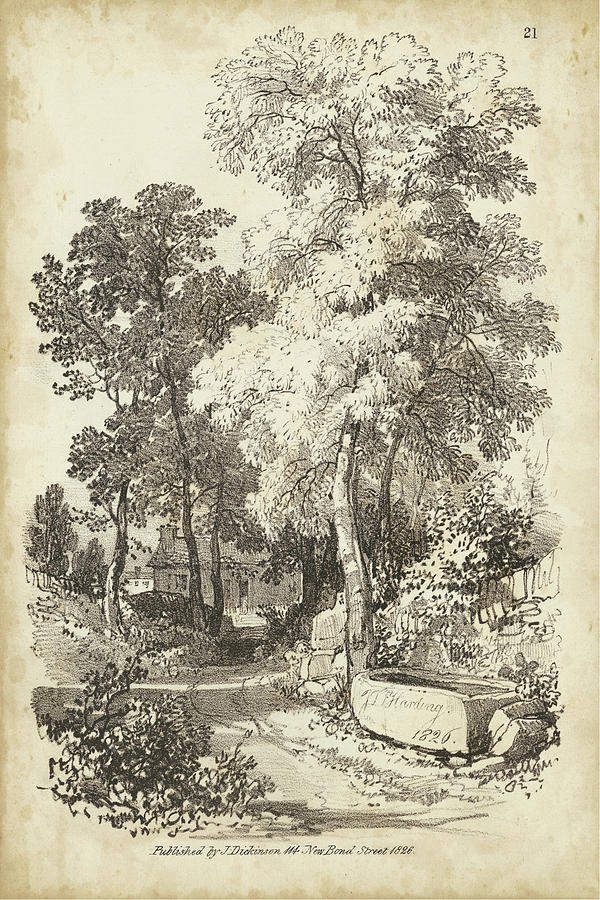 Landscape Painting - Noble Tree I by J.d. Harding