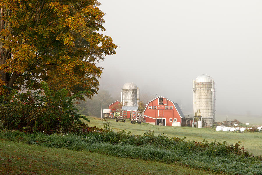 Nolans Farm - West Arlington Vt Photograph by David Kenny