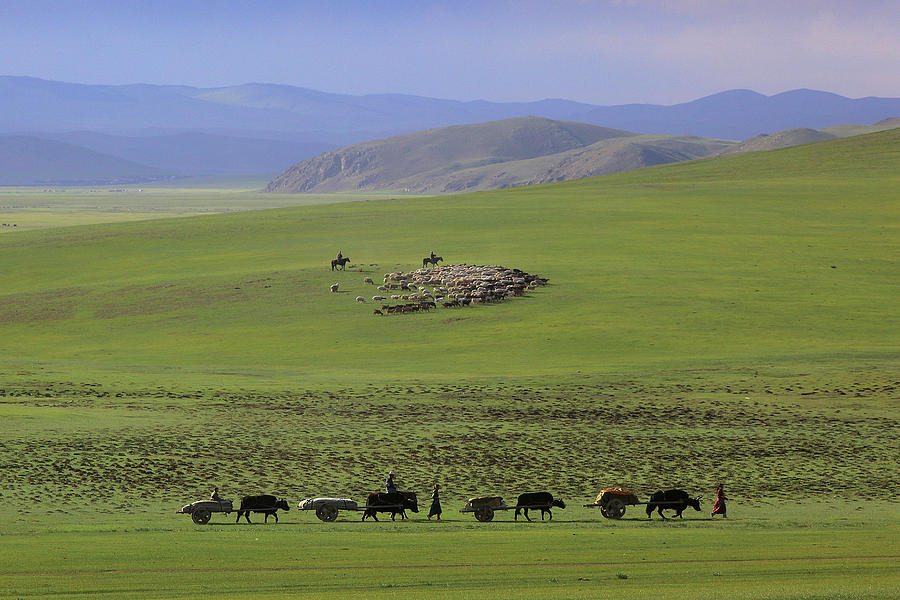 Nomadic Mongolian Family Moving Home Photograph by Timothy Allen