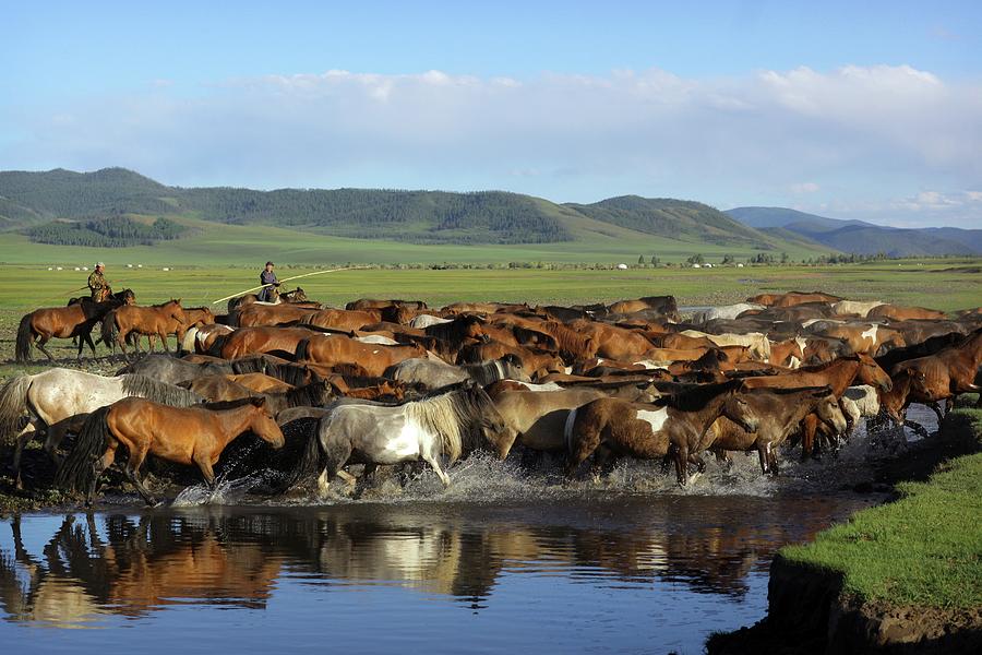 Nomadic Mongolian Horsemen Drive Herd Photograph by Timothy Allen