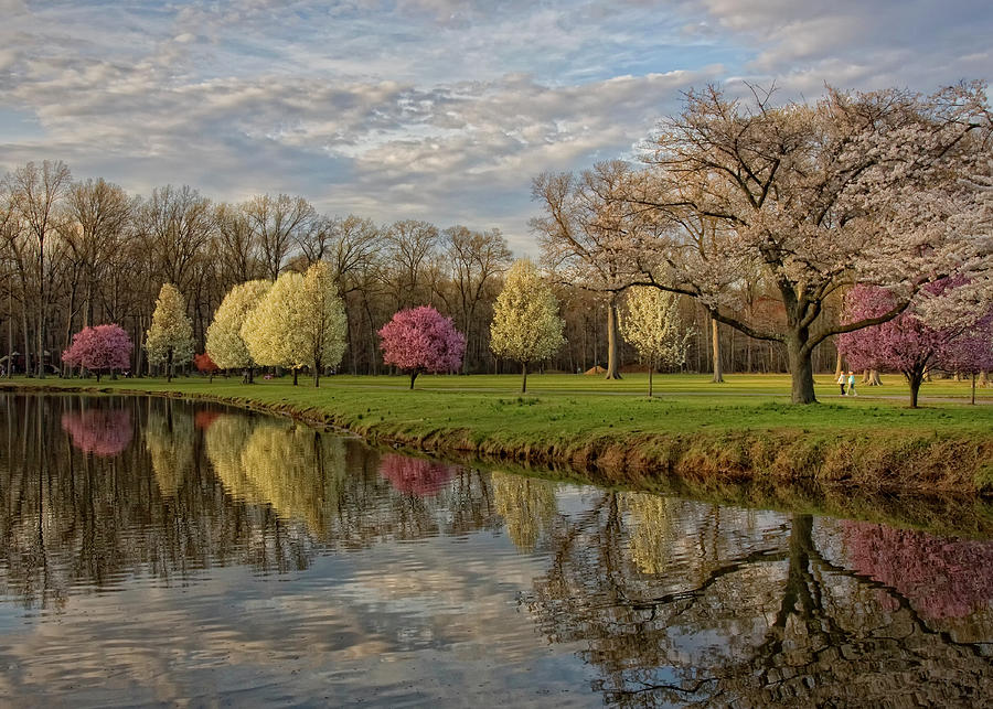 Nomahegan Park in Spring #1 Photograph by David DesRochers - Fine Art ...