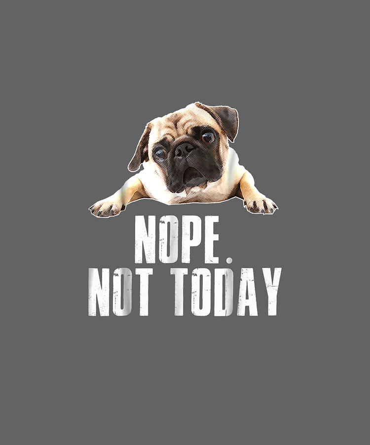 not today dog shirt