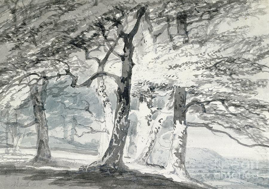 Joseph Mallord William Turner Painting - Norbury Park, Surrey by Joseph Mallord William Turner