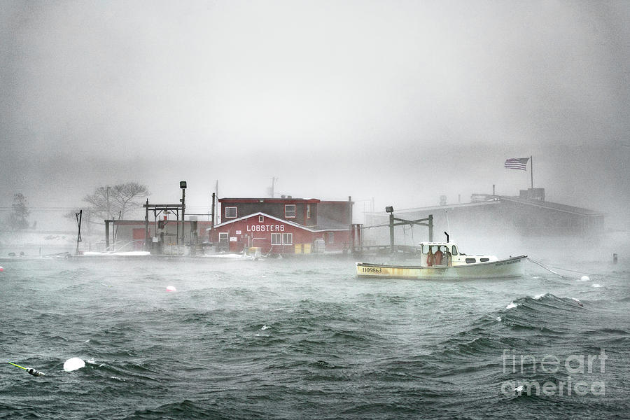 Winter Photograph - NorEaster at Cooks Lobster by Benjamin Williamson