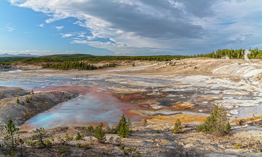 Norris Geyser Basin Panorama Photograph by Angelo Marcialis