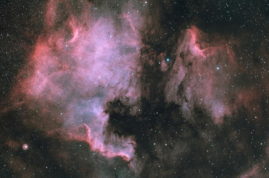 Universe Photograph - North America And Pelican In Cygnus by Sismo Astroberry