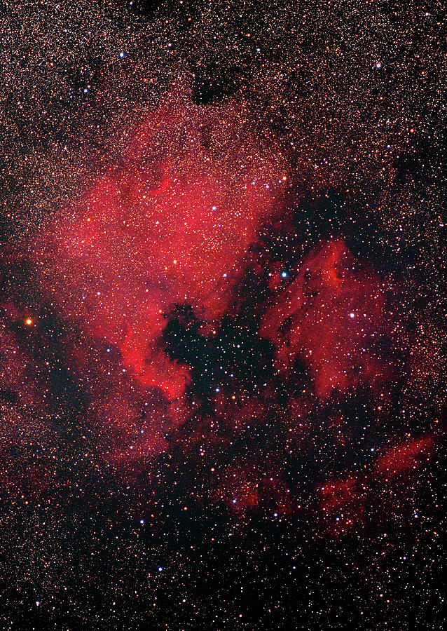North America Nebula And Pelican Nebula Photograph by Imagenavi