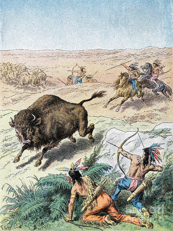 North American Indians Hunting Buffalo Drawing by Print Collector