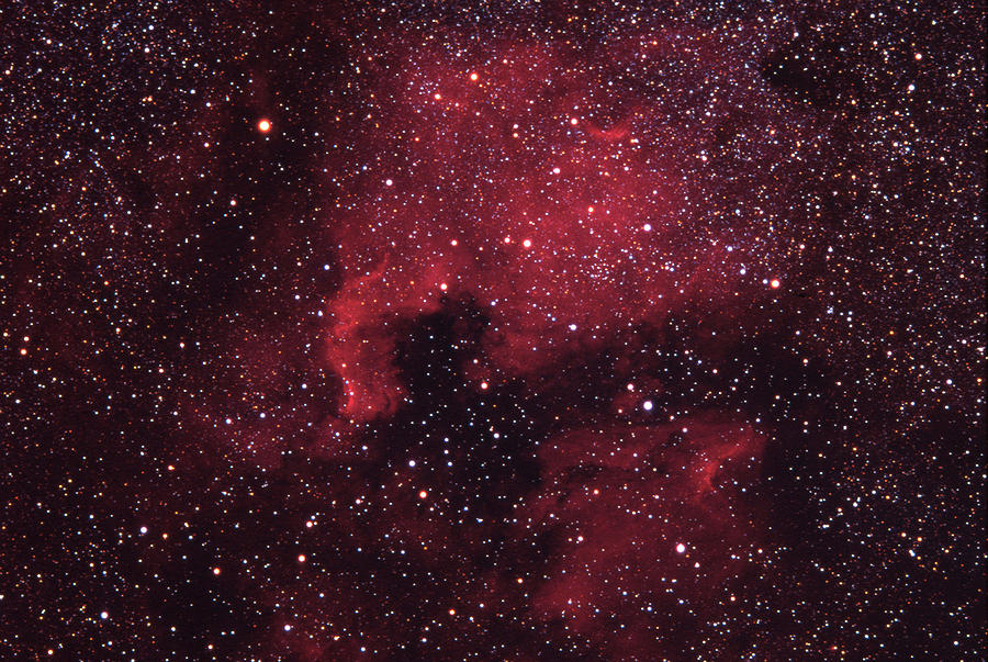 North American Nebula Ngc 7000 Photograph by Cameran Ashraf
