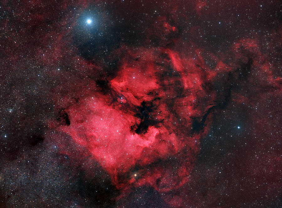 North American Nebula Photograph by Vikas Chander