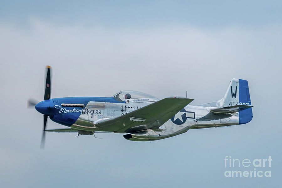 North American P-51 D Mustang Photograph by Paul Quinn