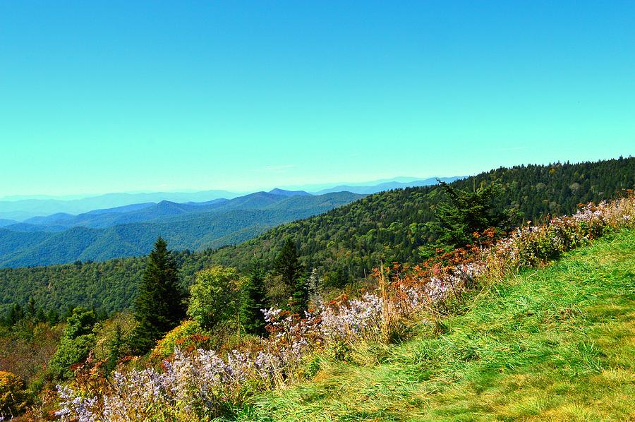 North Carolina Colorful Valley View Photograph by Stacie Siemsen