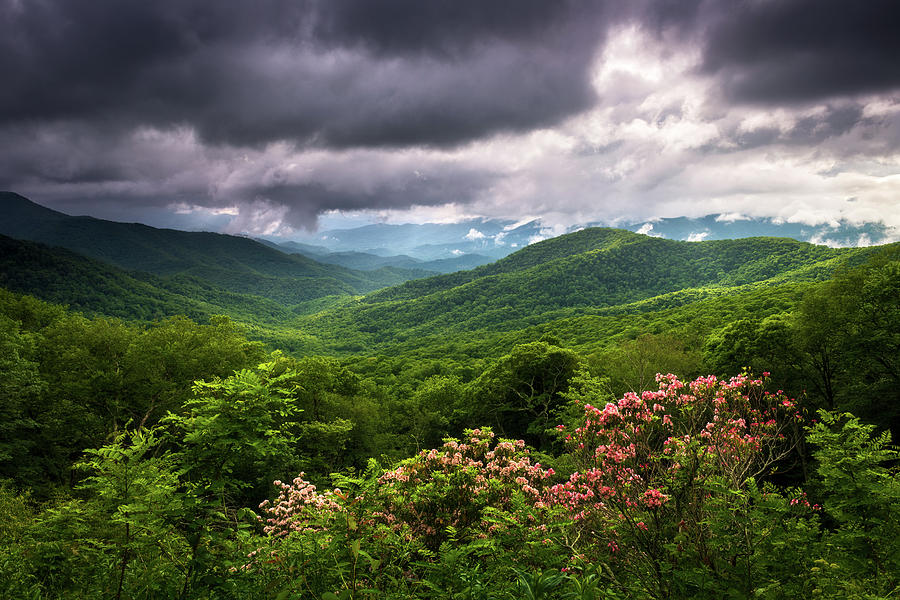 North Carolina Mountains Blue Ridge Parkway Spring Flowers Photograph by Dave Allen