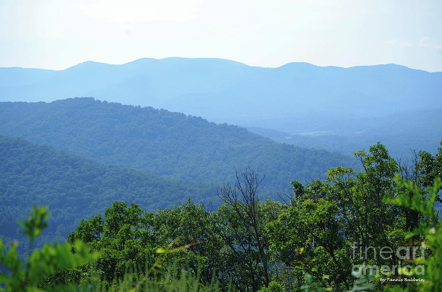 North Carolina Mountains Photograph by Tannis Baldwin