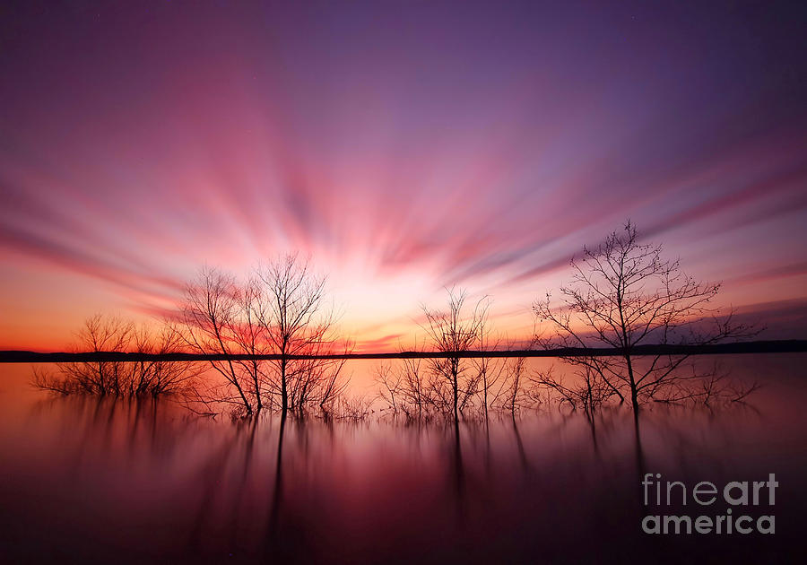 Forest Photograph - North Carolina Sunset by Matthew Junker Forest Photograph - North Carolina Sunset by Matthew Junker