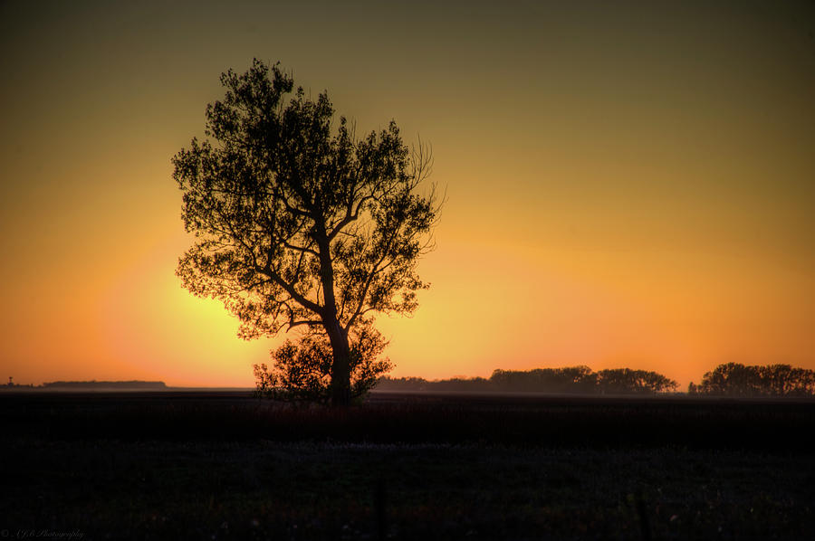 North Dakota Sunset Photograph by Angelo Bufalino Photography
