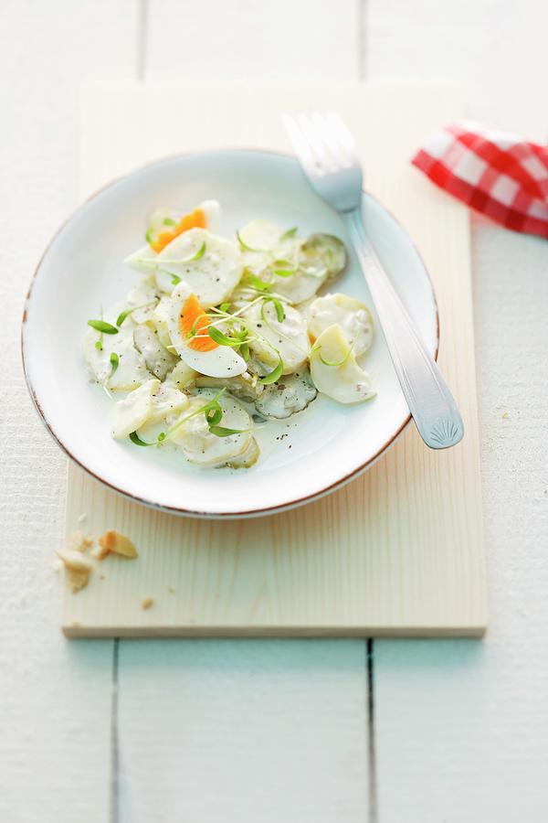North German Potato Salad With Mayonnaise, Pickled Cucumbers And Egg Photograph by Michael Wissing