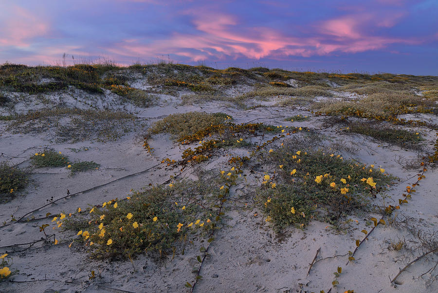 North Padre Island Corpus Christi Tx Digital Art By Heeb Photos Fine Art America