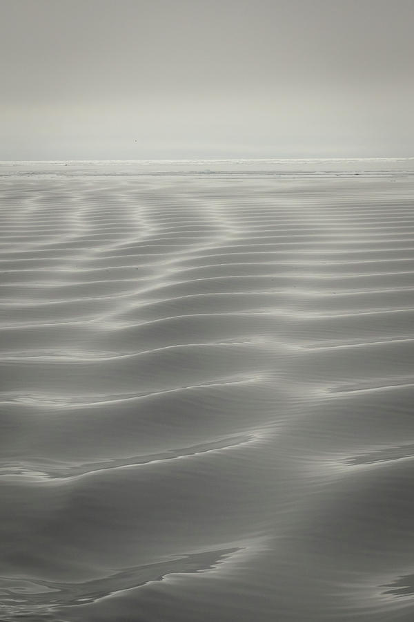 North Pole sea fog Photograph by Steven Upton