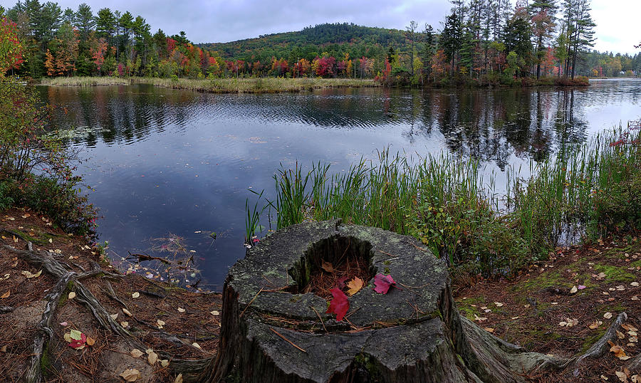 North Pond In Greenwood Maine Photograph