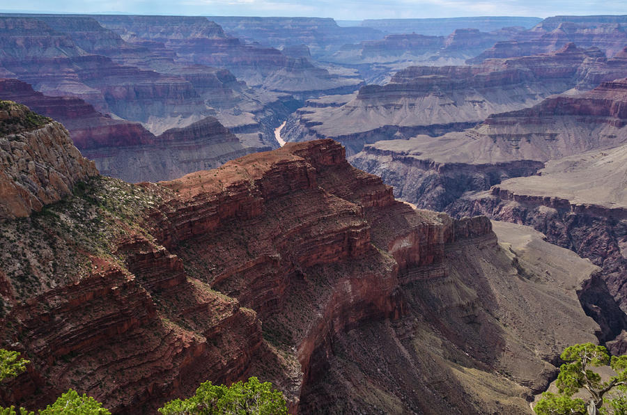 North Rim Canyon View Photograph by Douglas Wielfaert